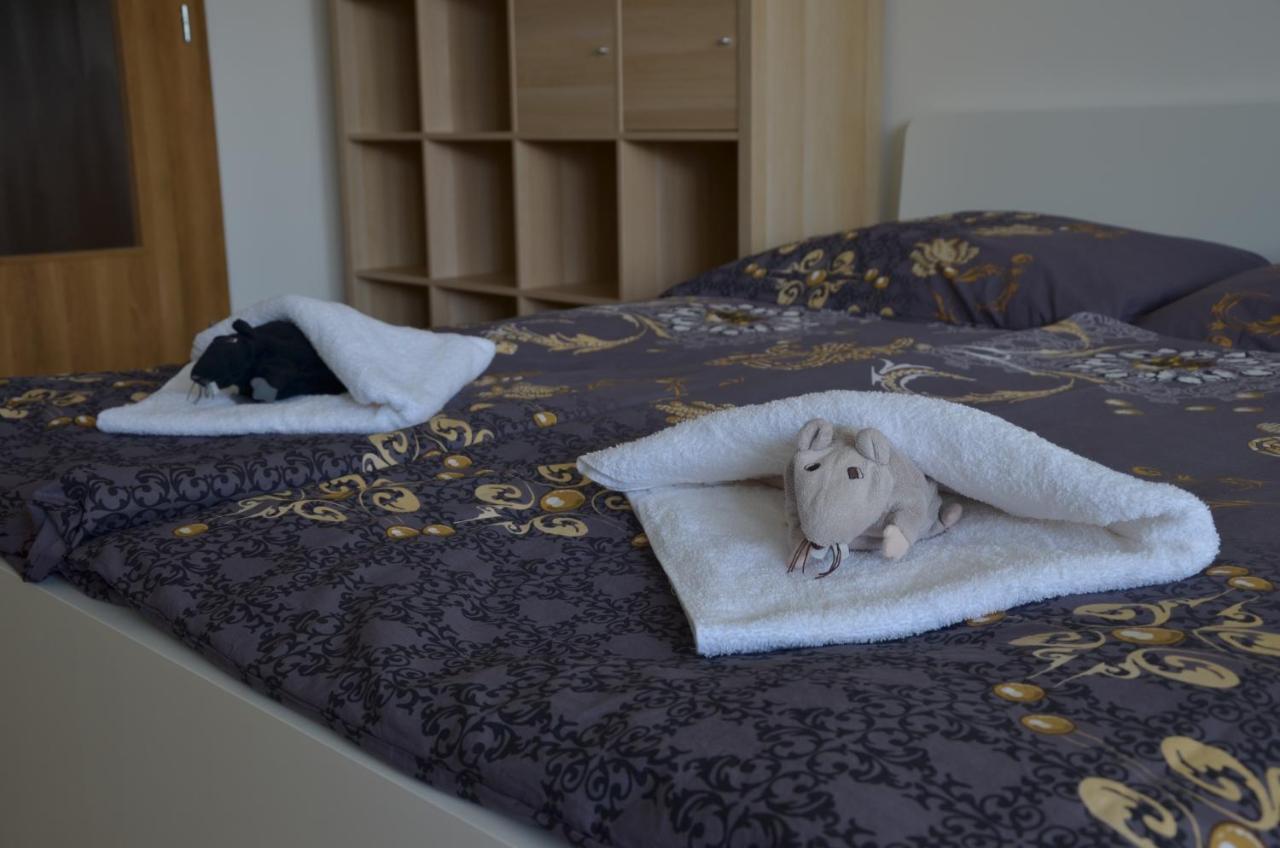 Lipno Riviera - Mysi V Bote Apartment Lipno nad Vltavou Luaran gambar