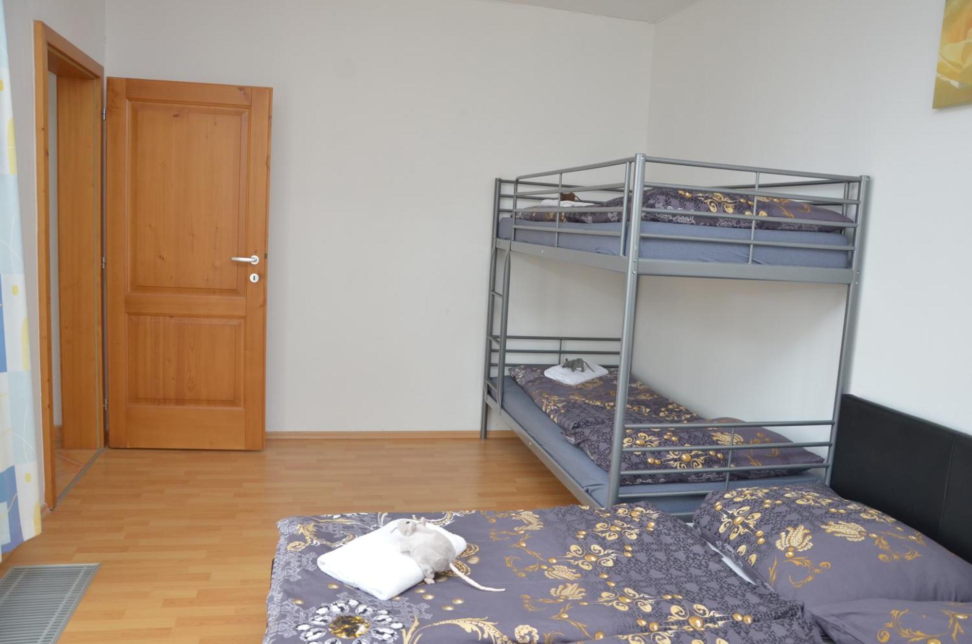 Lipno Riviera - Mysi V Bote Apartment Lipno nad Vltavou Bilik gambar